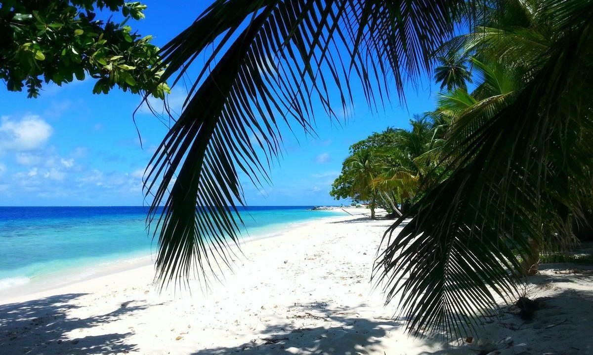 Photo of Others in Dharavandhoo