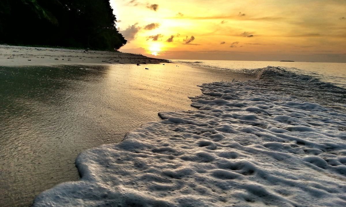Photo of Others in Dharavandhoo