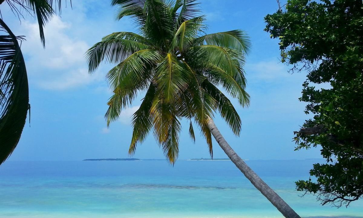 Photo of Others in Dharavandhoo
