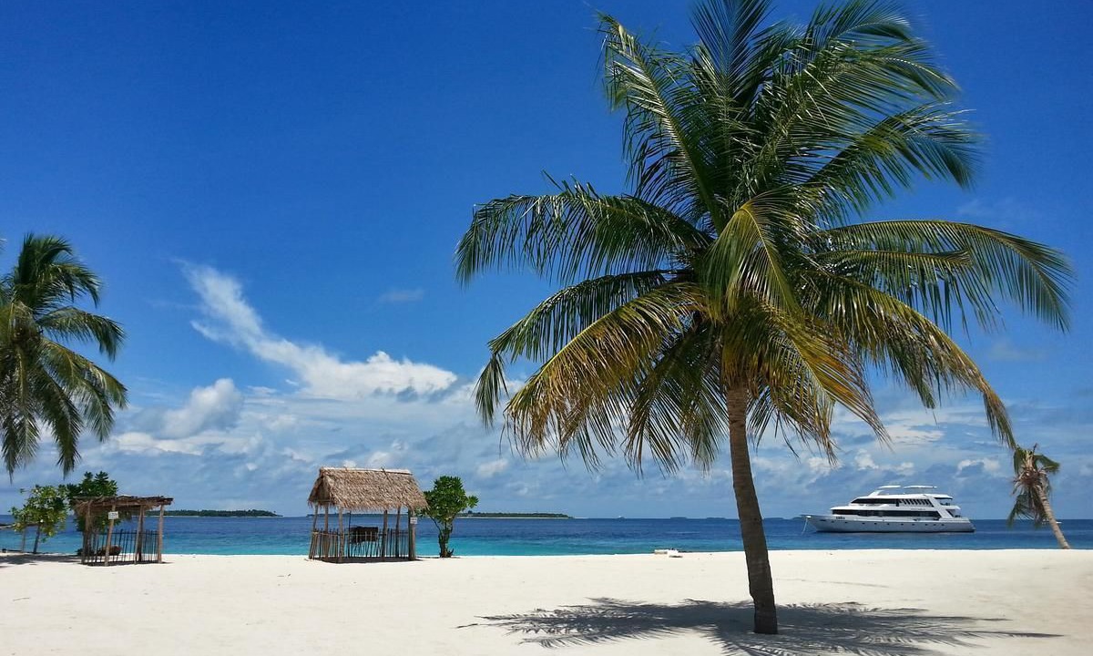 Photo of Others in Dharavandhoo