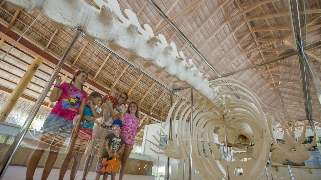 Photo of Others in Kuramathi Island