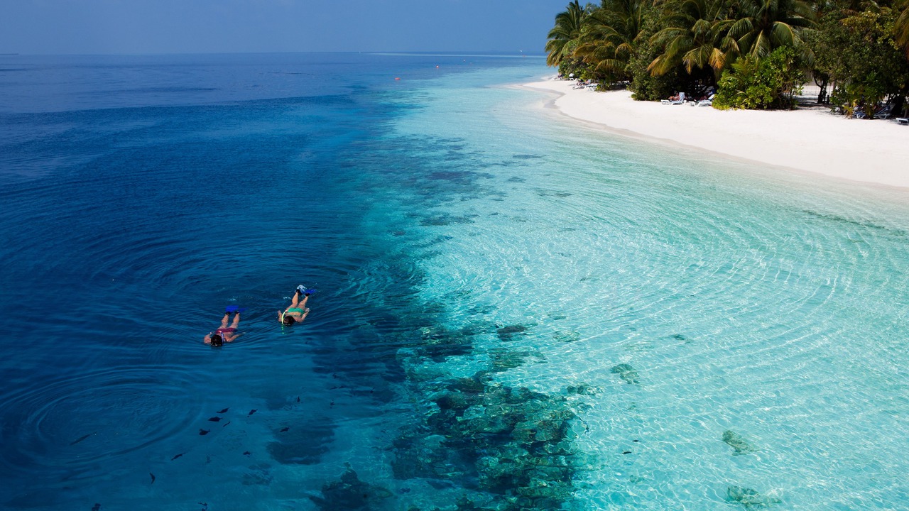 Photo of Others in Vilamendhoo Island