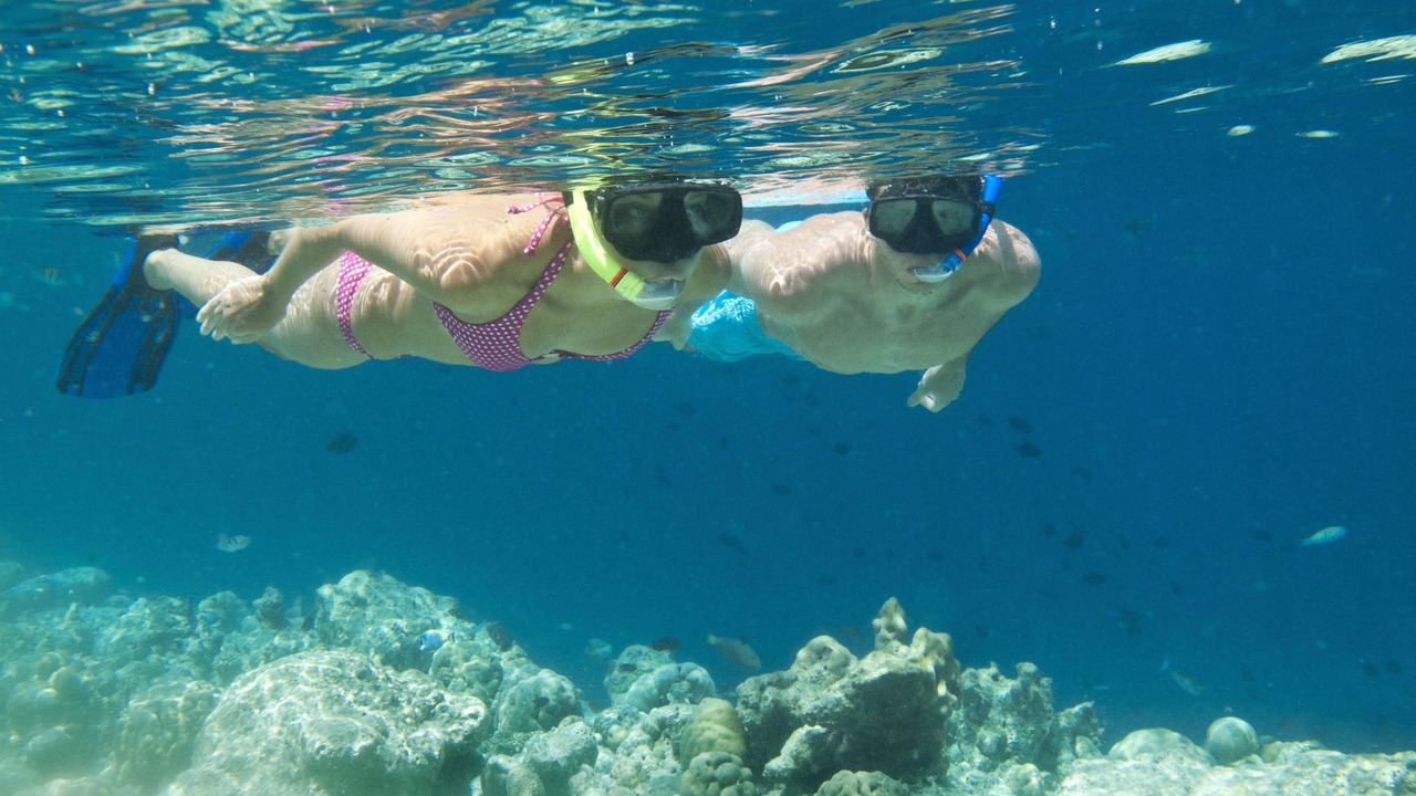 Photo of Others in Vilamendhoo Island