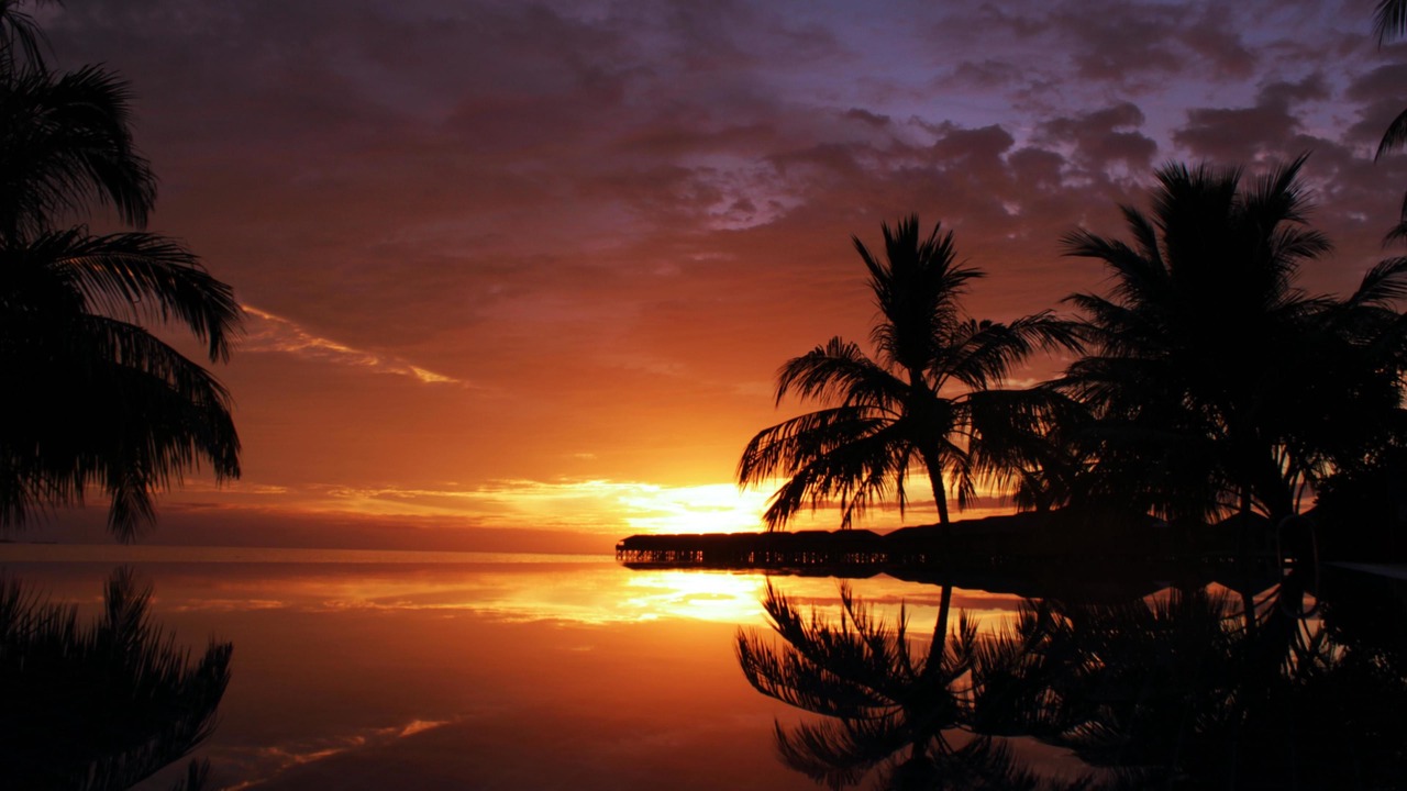Photo of Others in Vilamendhoo Island