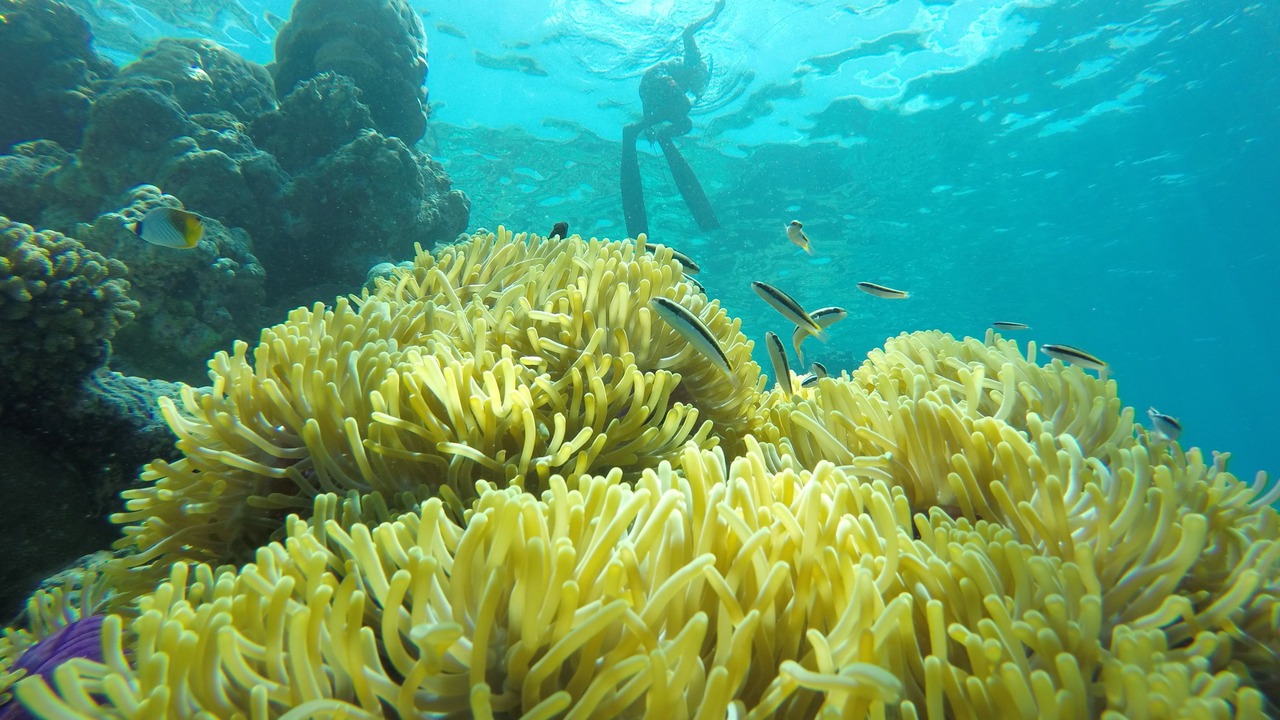 Photo of Outdoor in Guraidhoo