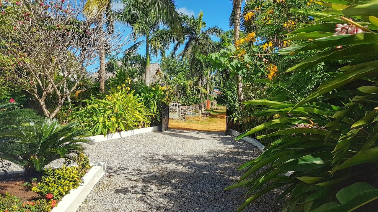 Photo of Outdoor in Las Galeras