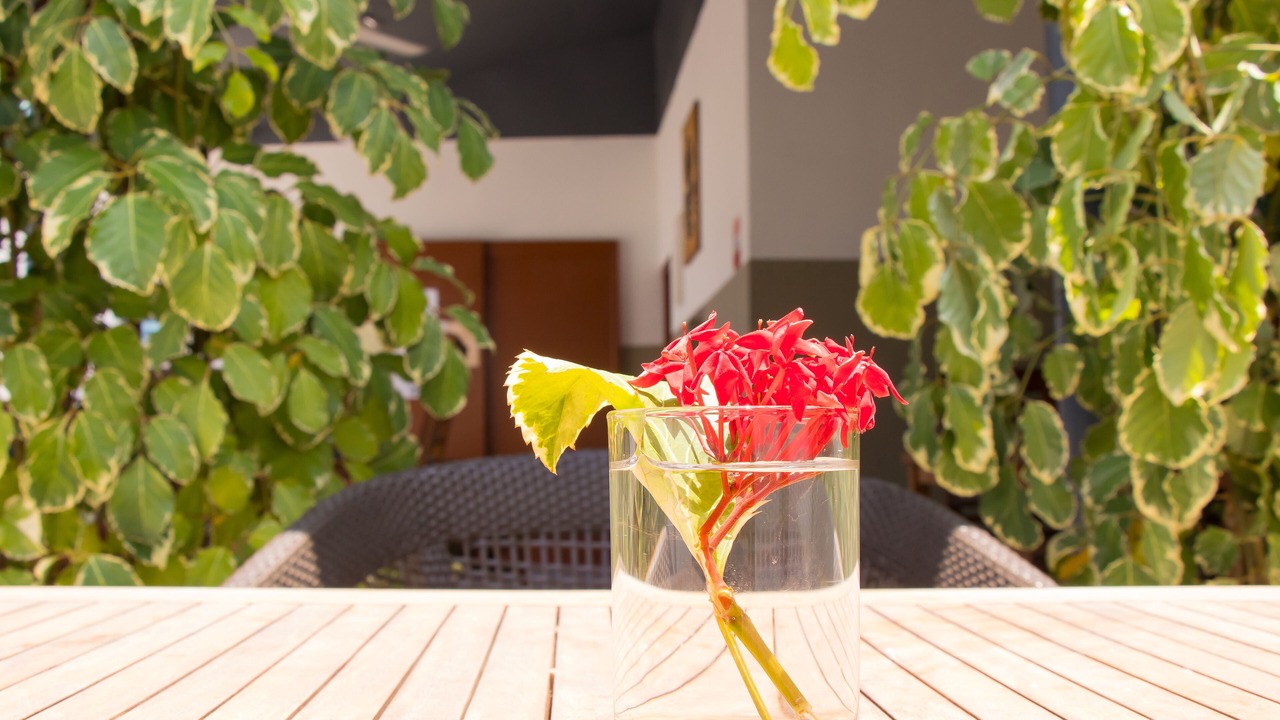 Photo of Patio Balcony in Hanimaadhoo