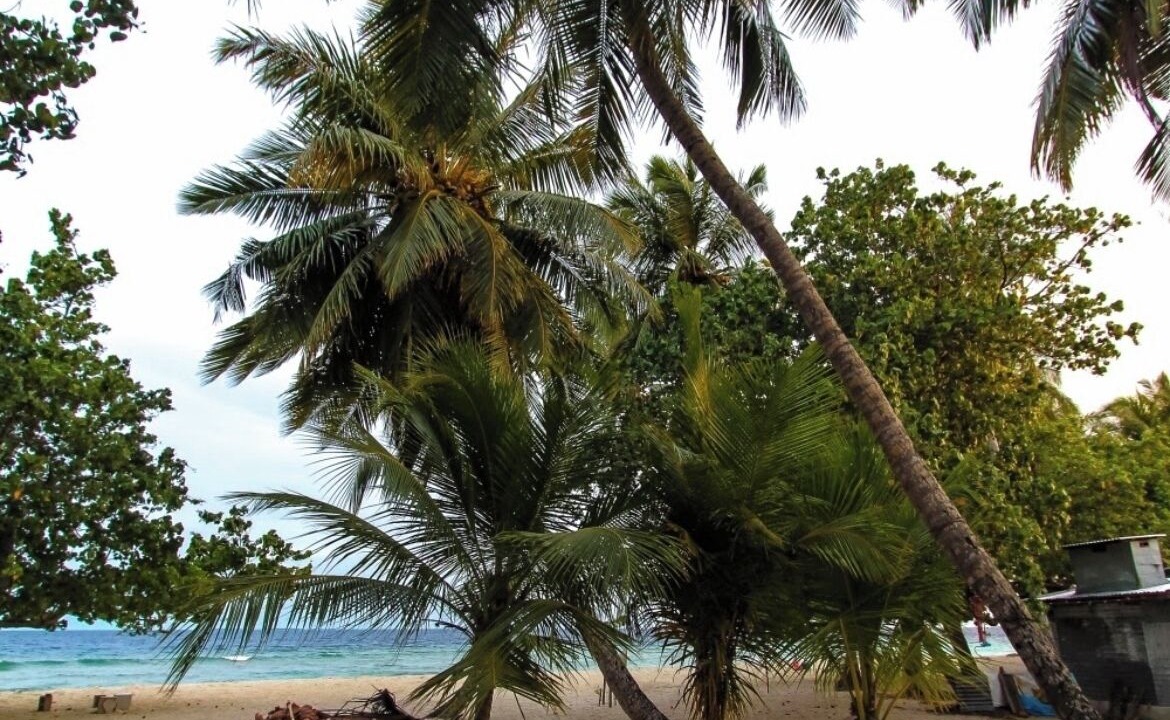 Photo of Outdoor in Mahibadhoo