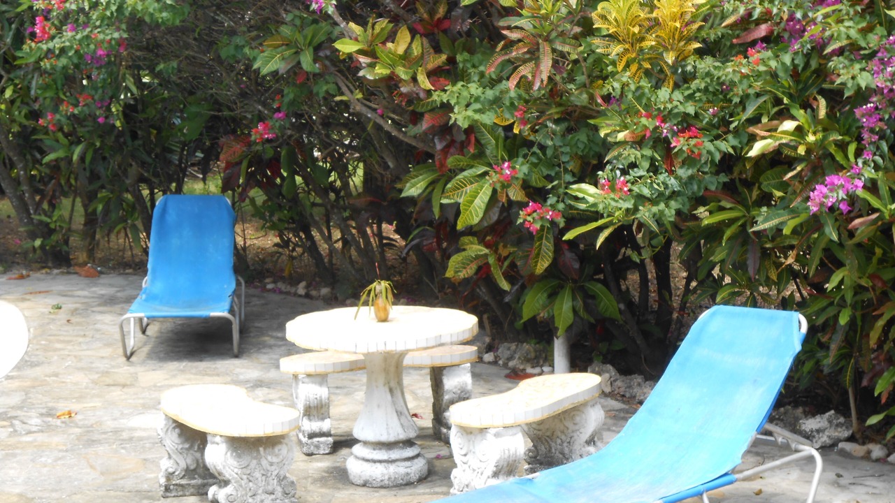 Photo of Outdoor in La Esplanada