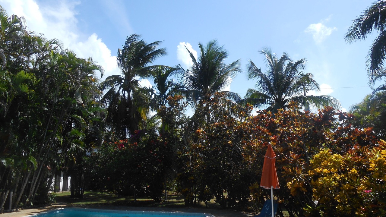 Photo of Outdoor in La Esplanada
