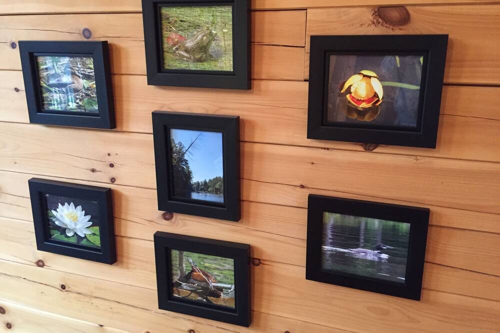 Photo of Outdoor in Chestertown