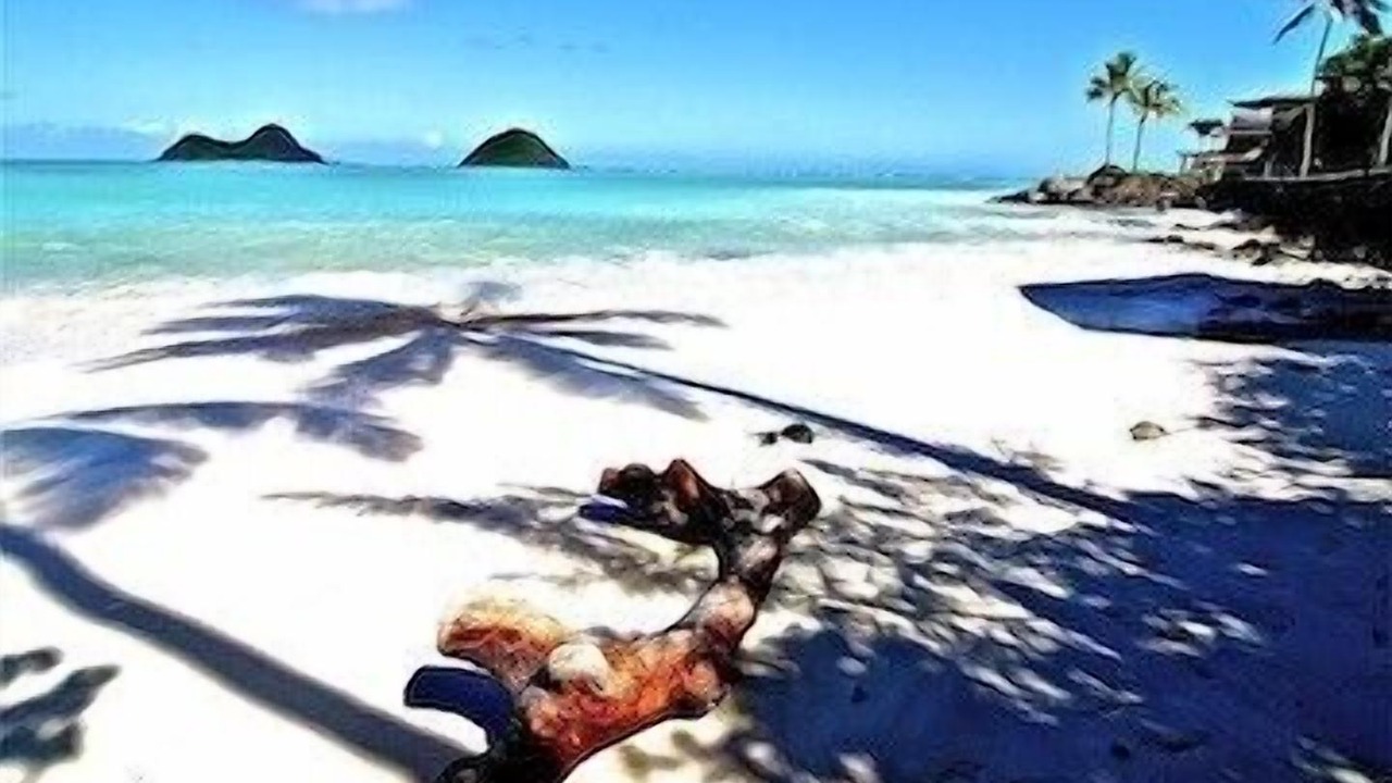 Photo of Others in Lanikai