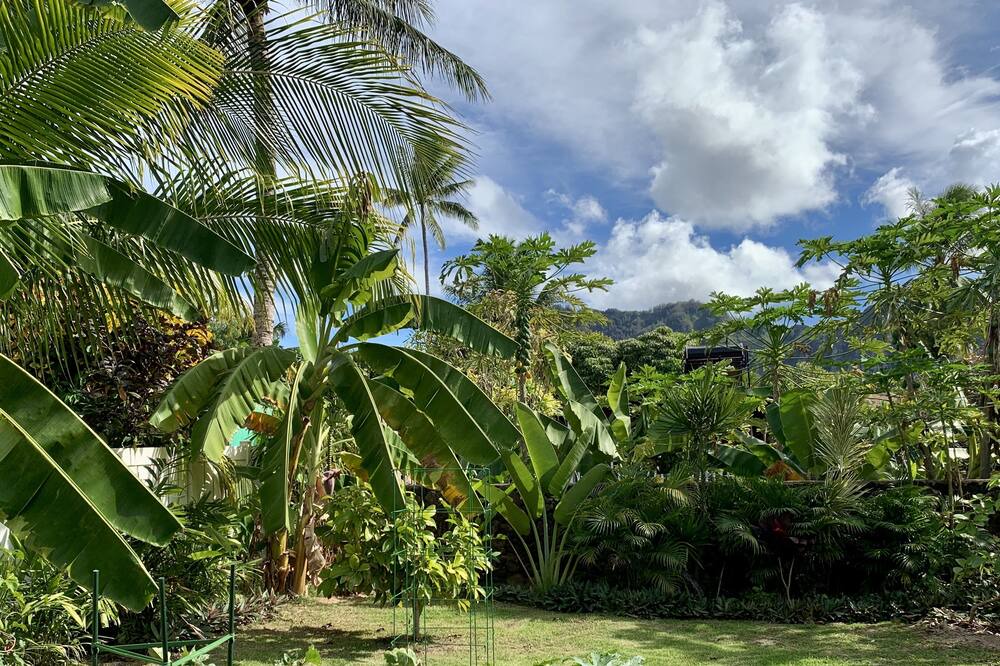 Photo of Outdoor in Waimanalo Beach