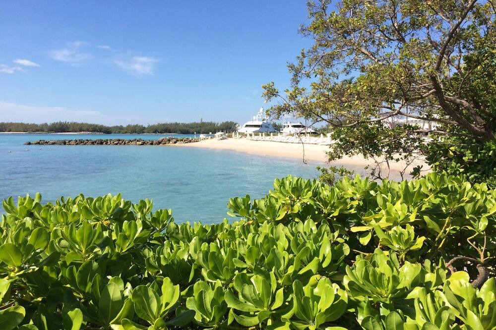 Photo of Others in Miami Beach