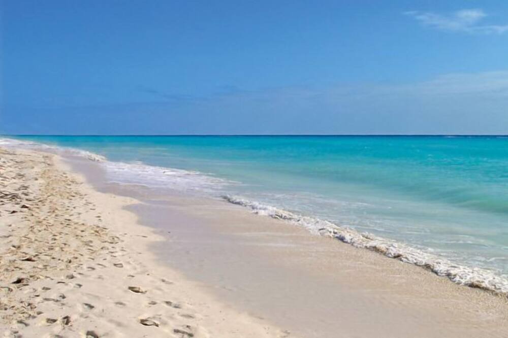 Photo of Others in Miami Beach