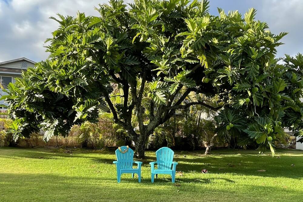 Photo of Outdoor in Waimanalo Beach