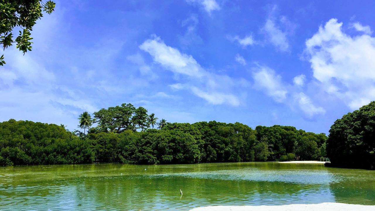 Photo of Outdoor in Kanuhuraa