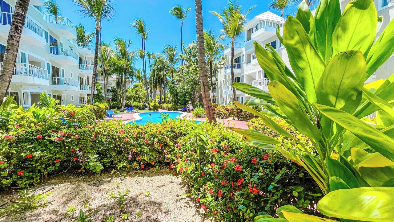 Photo of Outdoor in Bavaro
