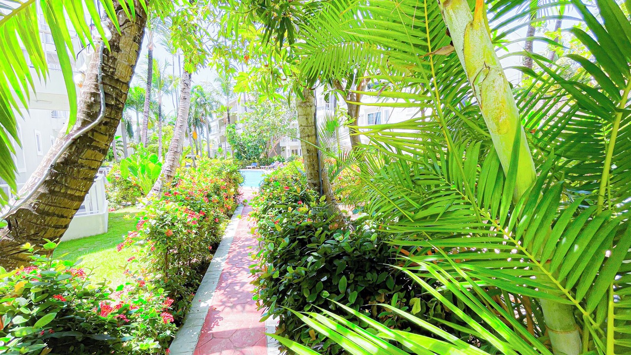 Photo of Outdoor in Bavaro