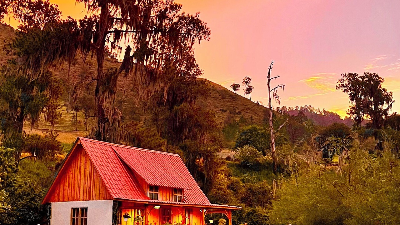 Photo of Outdoor in Constanza