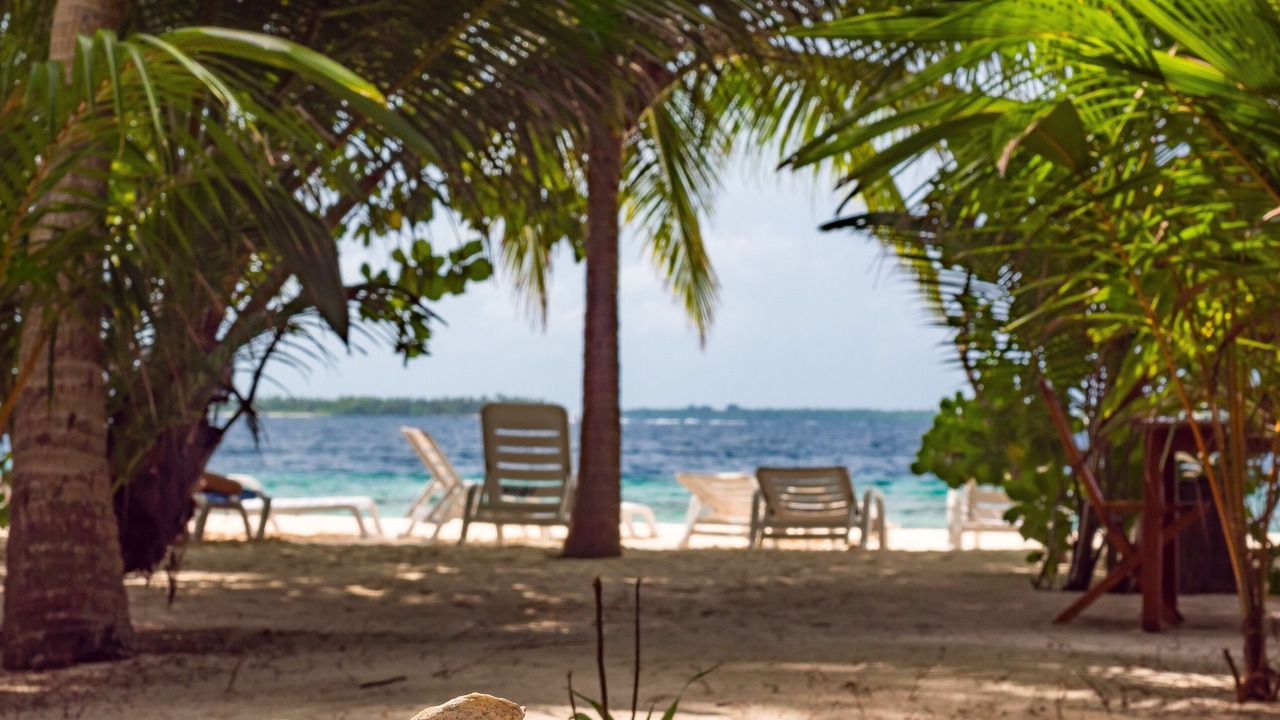 Photo of Others in Dharavandhoo