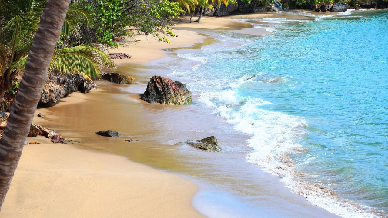 Photo of Others in Samana
