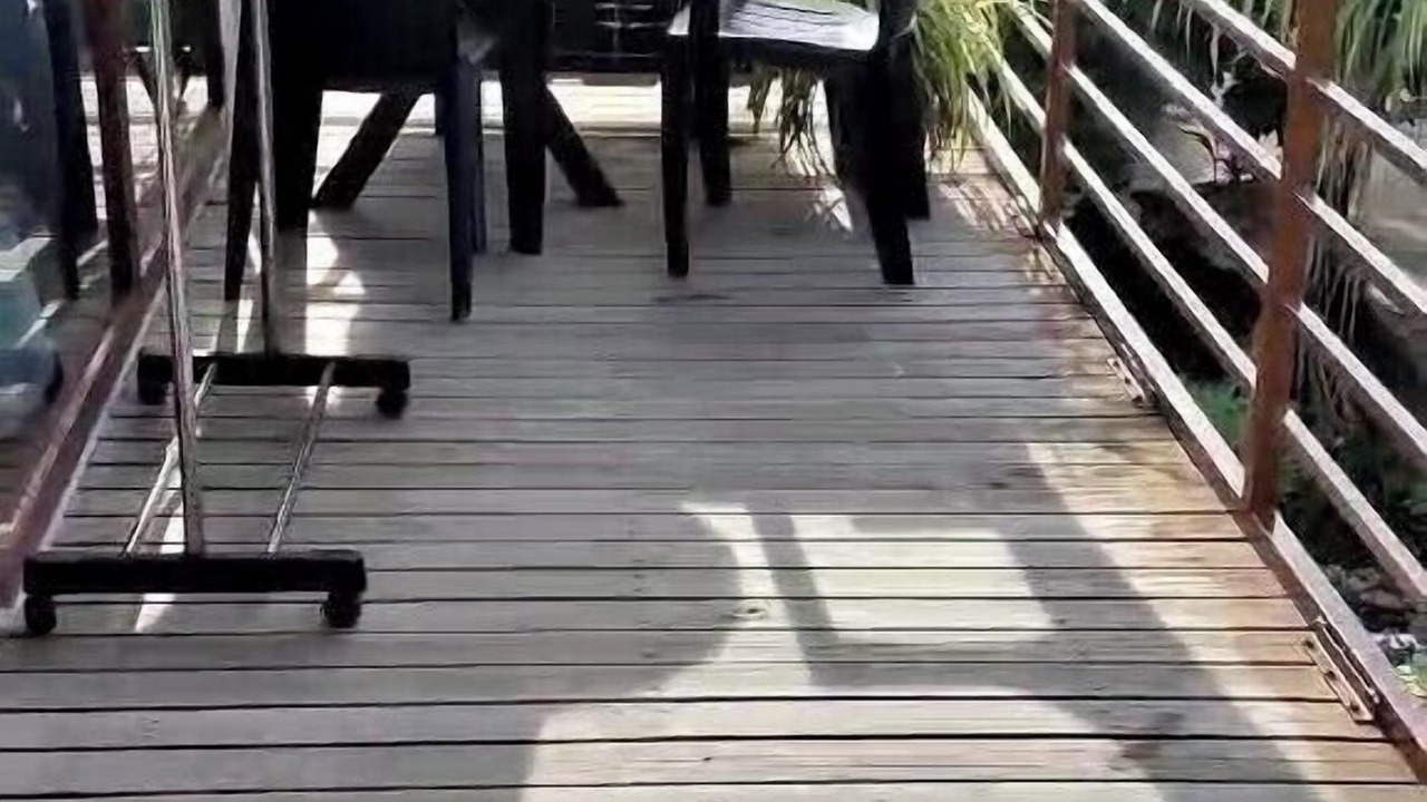Photo of Patio Balcony in Omadhoo
