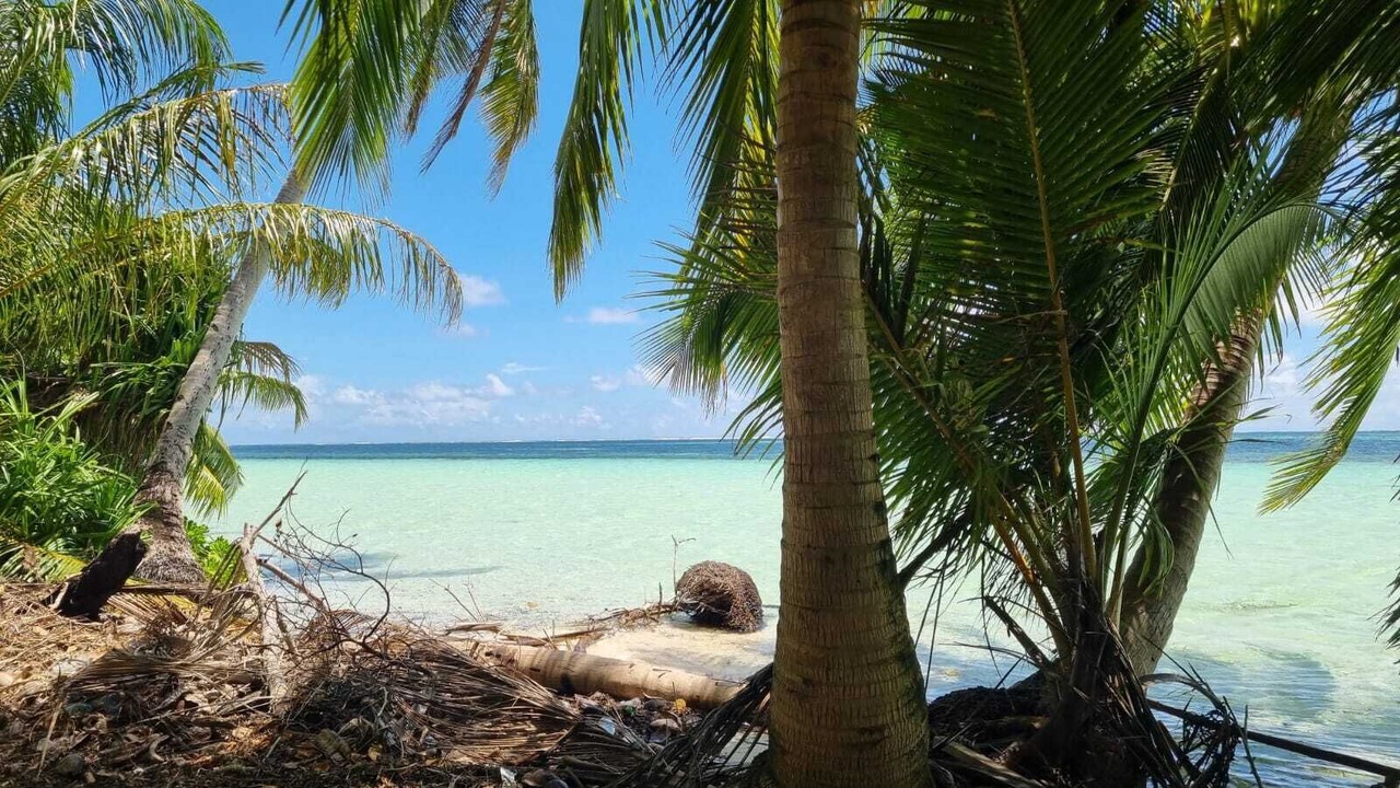 Photo of Others in Vaadhoo