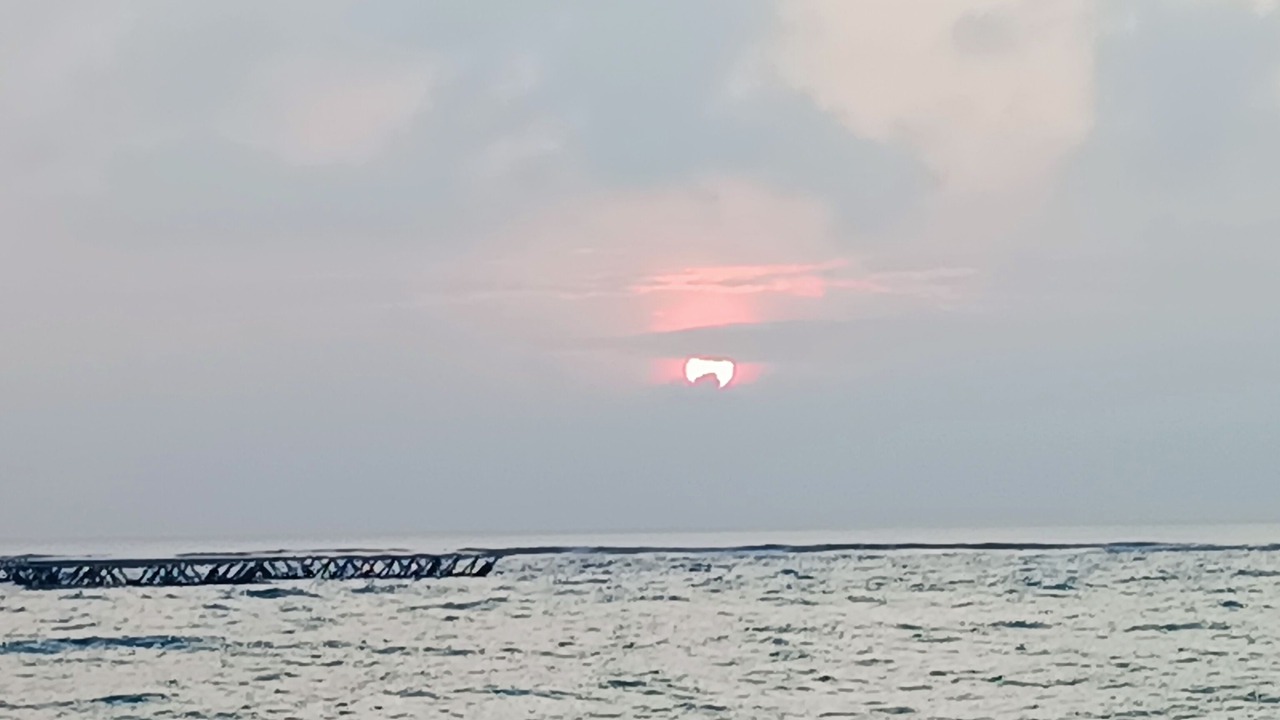 Photo of Others in Dharavandhoo