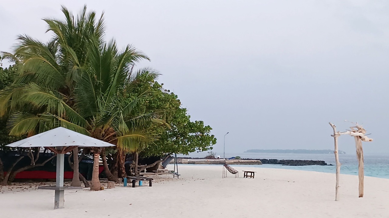 Photo of Others in Dharavandhoo