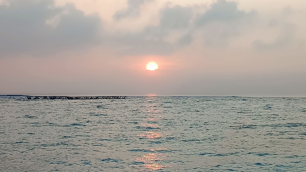 Photo of Others in Dharavandhoo