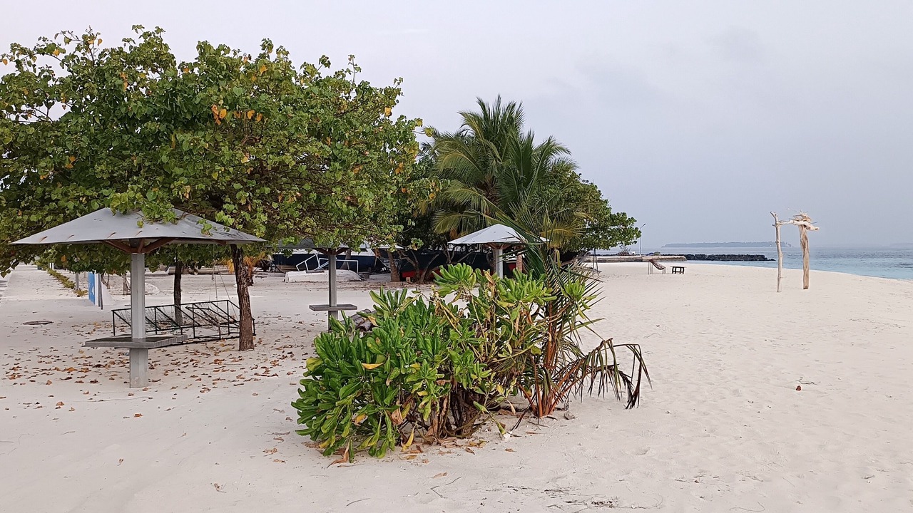 Photo of Others in Dharavandhoo