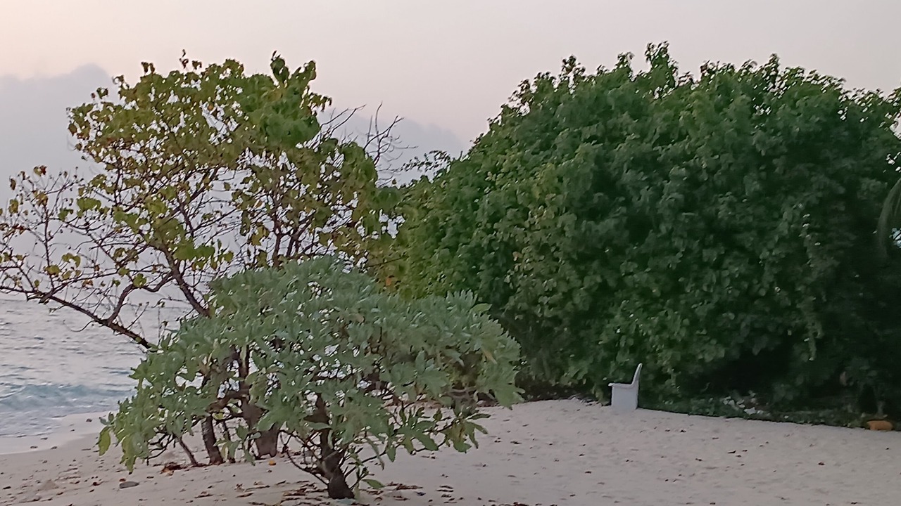 Photo of Others in Dharavandhoo