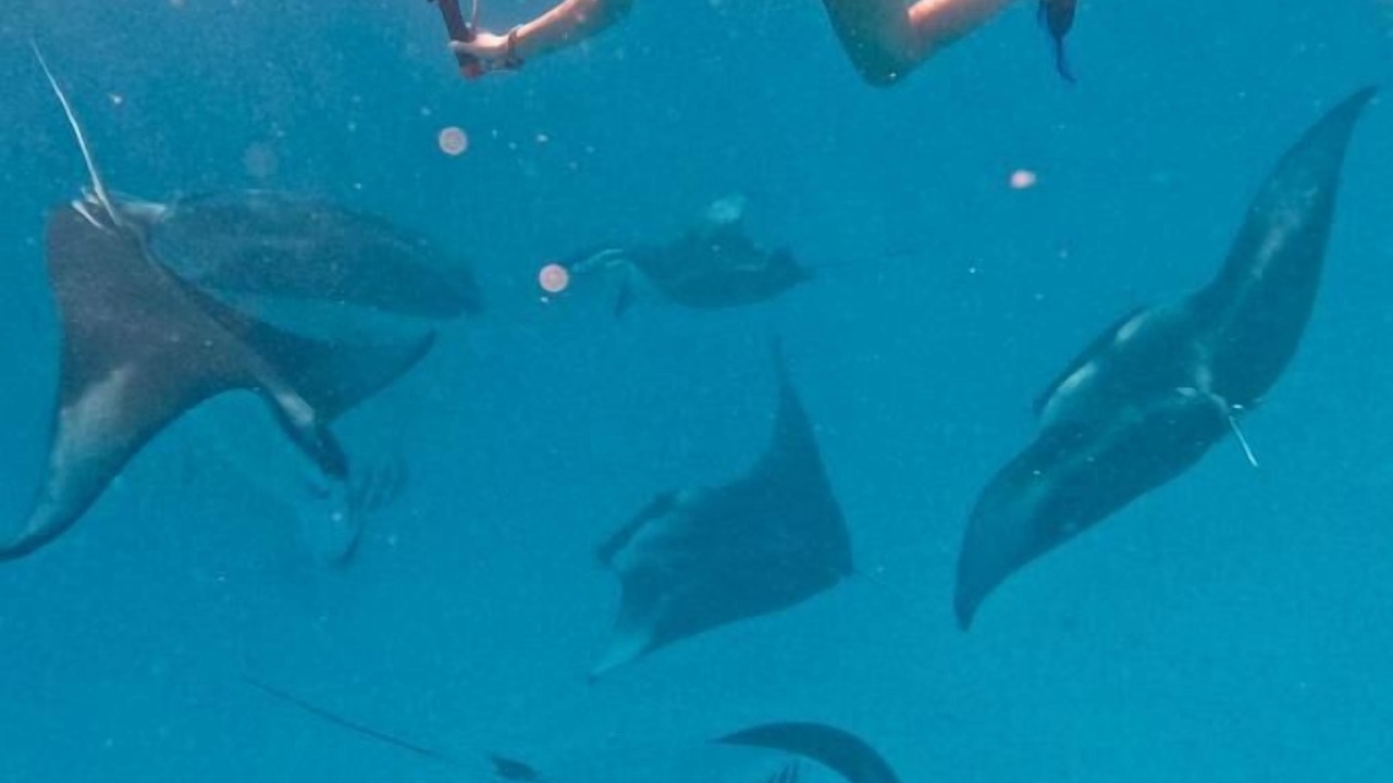 Photo of Others in Kendhoo