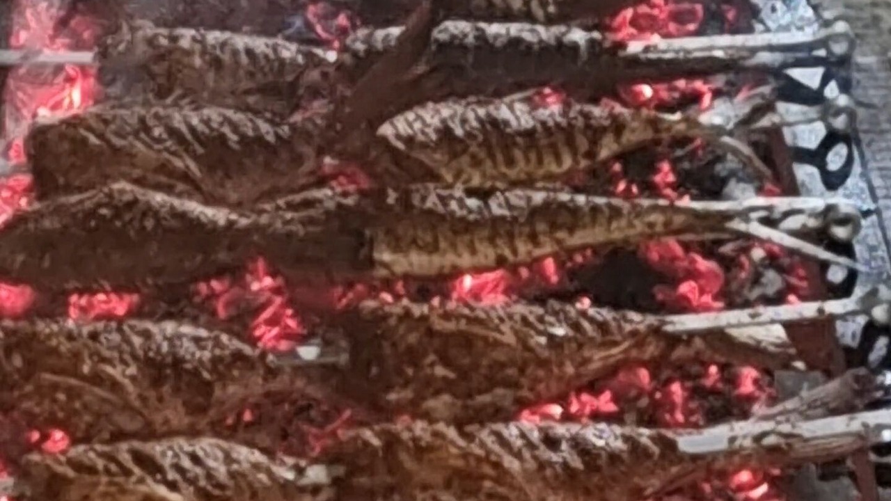Photo of Outdoor in Kendhoo