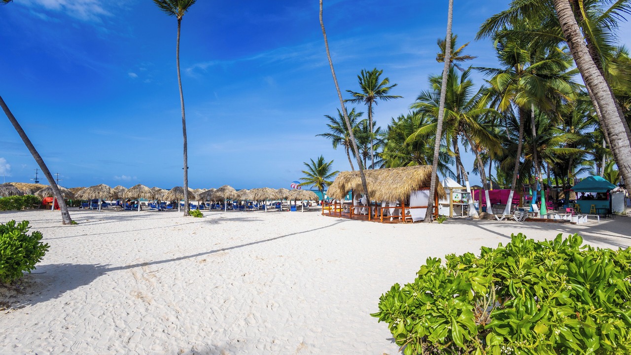 Photo of Others in Bavaro