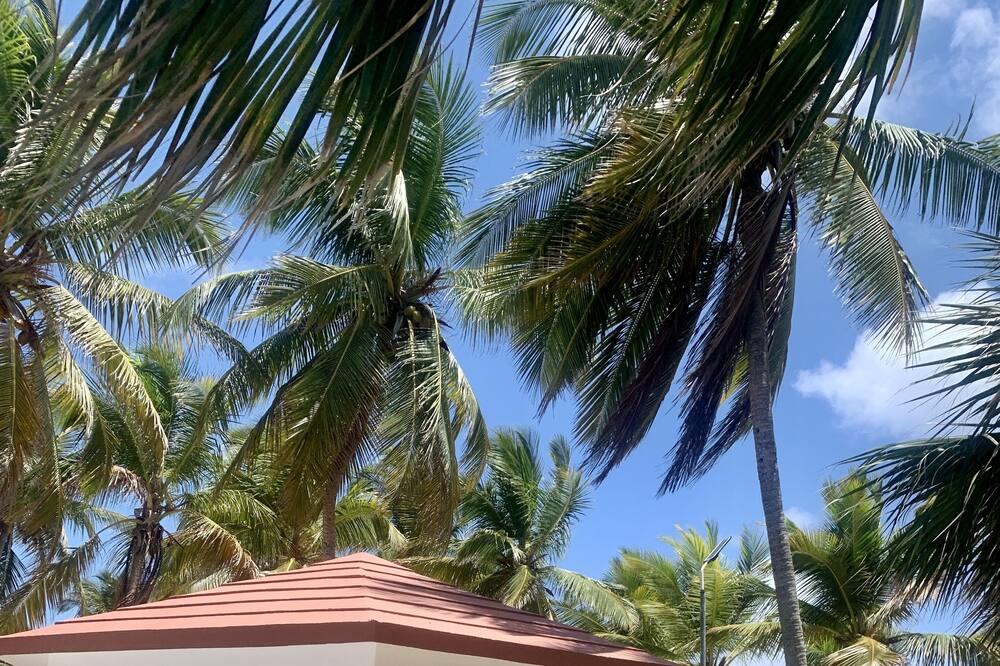 Photo of Outdoor in Villa Hermosa