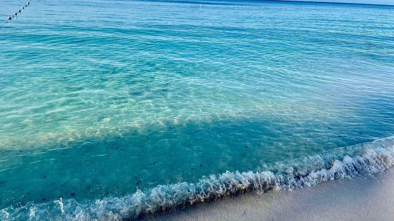 Photo of Others in Dominicus