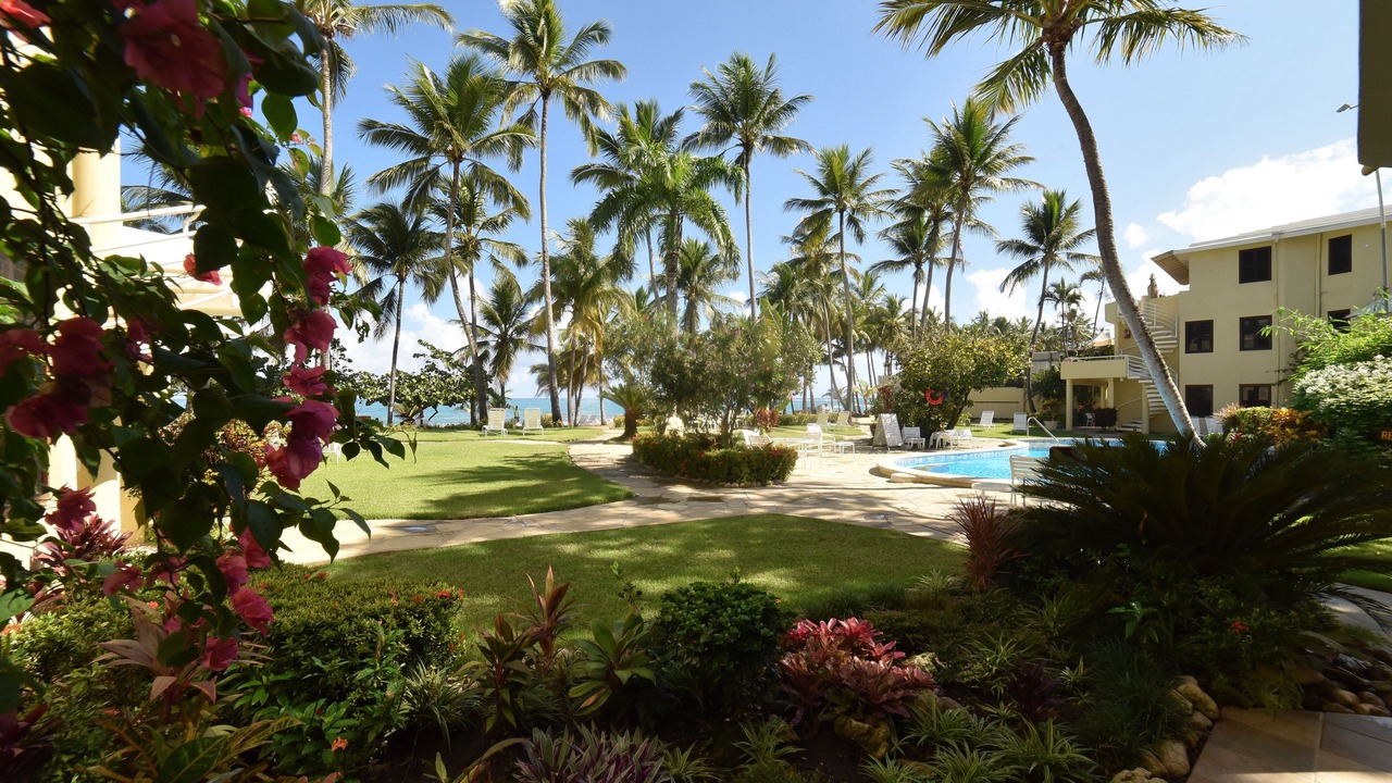 Photo of Others in Cabarete