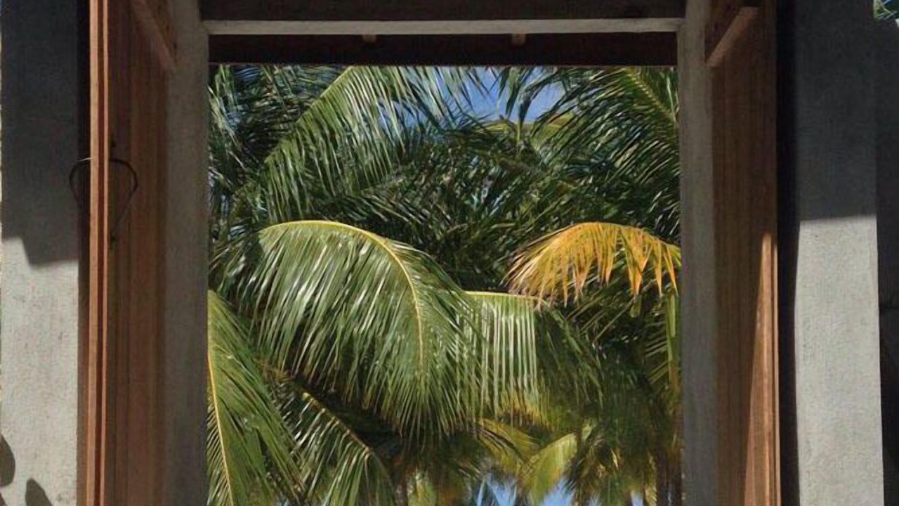 Photo of Others in Hanimaadhoo