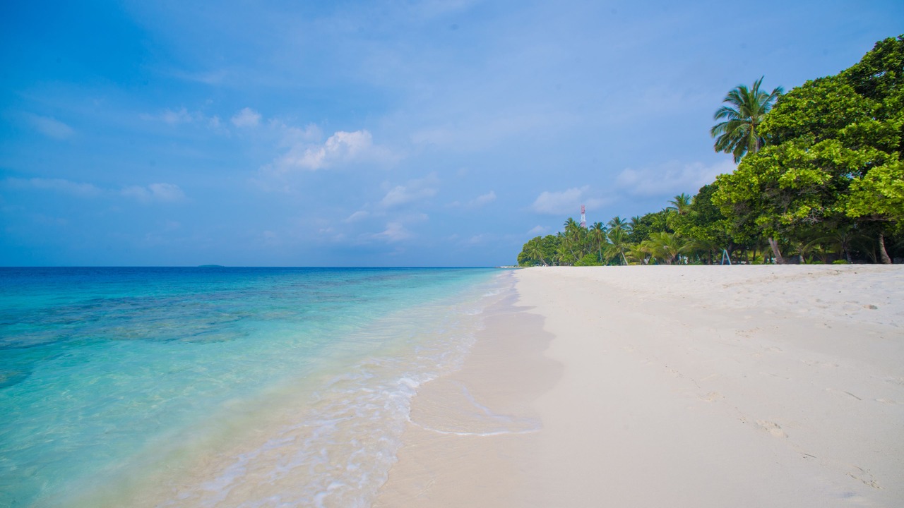 Photo of Others in Dharavandhoo