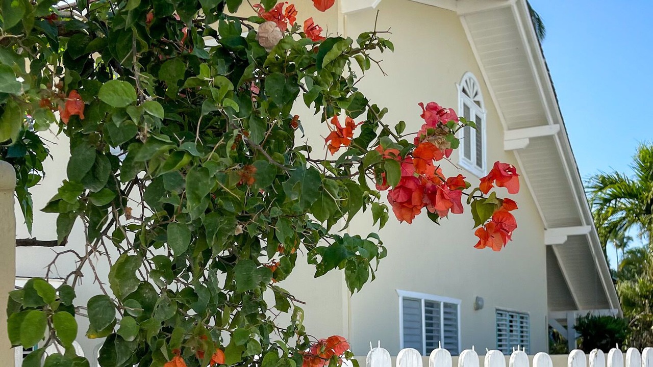 Photo of Outdoor in La Iglesia