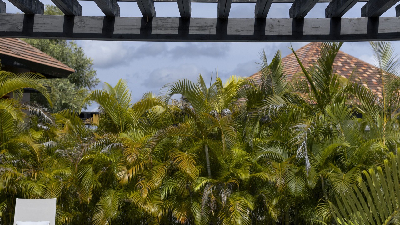 Photo of Others in Punta Cana
