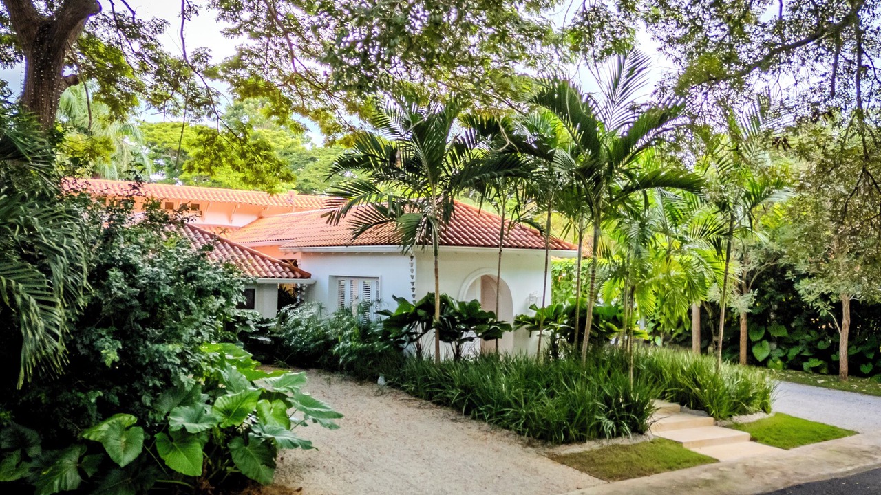 Photo of Outdoor in Los Lagos