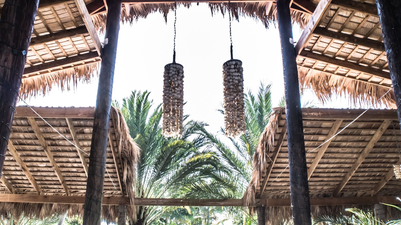 Photo of Outdoor in Sabana Palenque