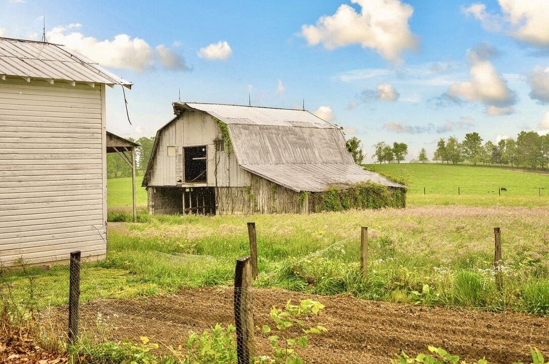Photo of Outdoor in Dan River