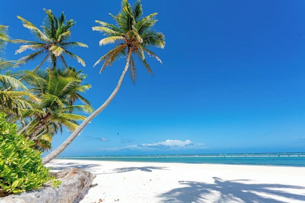 Photo of Others in Punta Cana