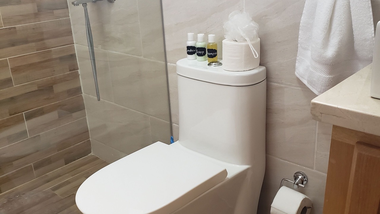Photo of Bathroom in Barrio Las Yaguitas