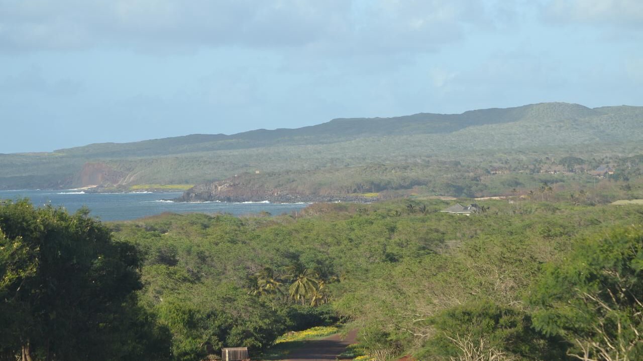 Photo of Others in Maunaloa