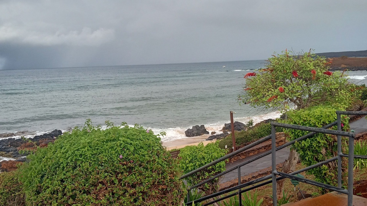 Photo of Outdoor in Maunaloa